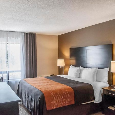 Comfort Inn Брамптън Екстериор снимка
