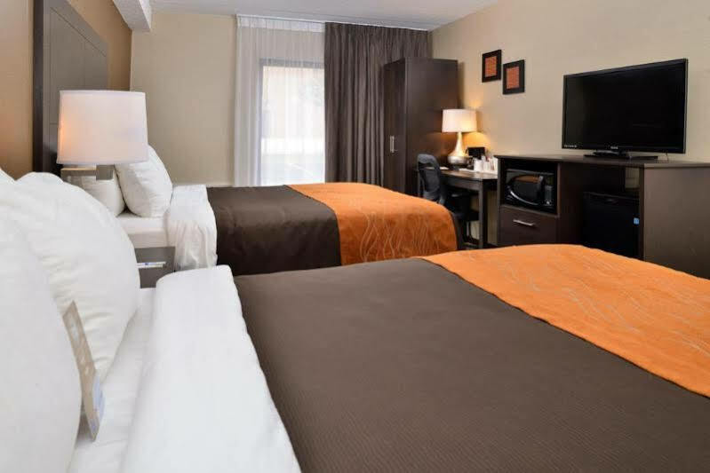 Comfort Inn Брамптън Екстериор снимка