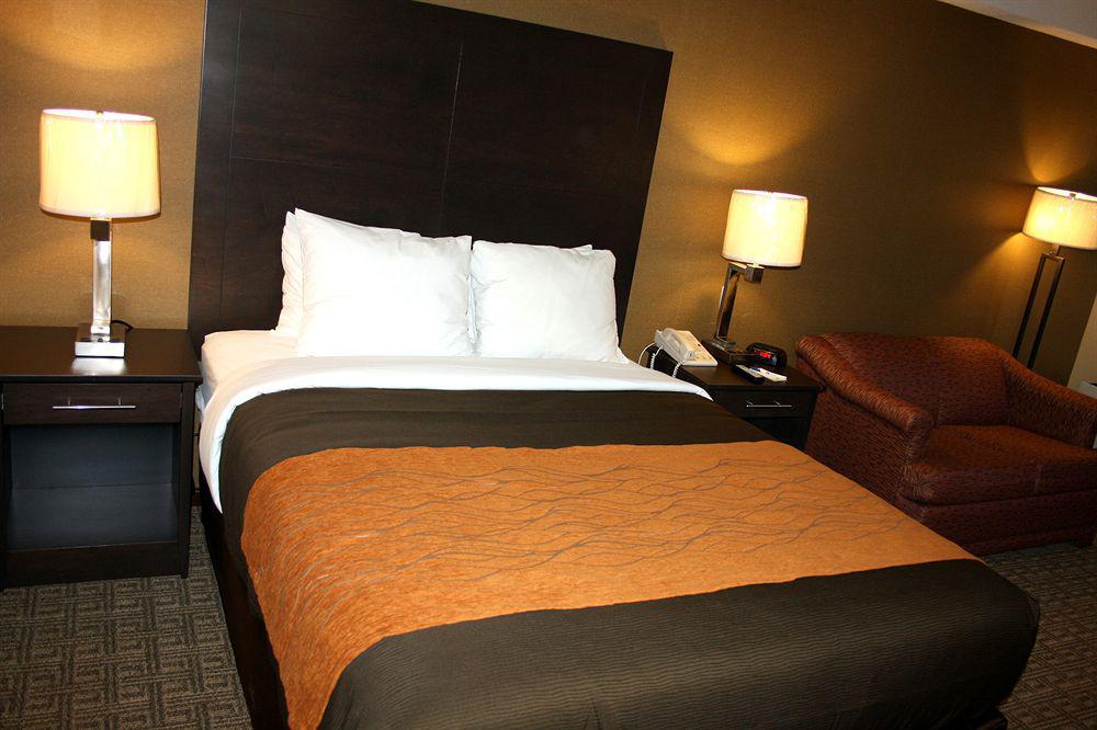 Comfort Inn Брамптън Екстериор снимка