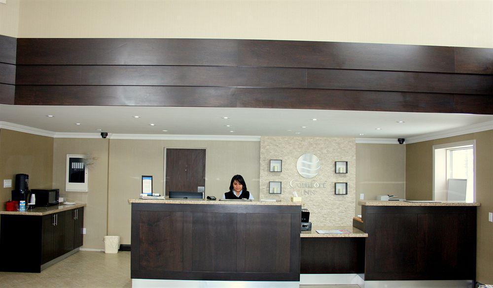 Comfort Inn Брамптън Екстериор снимка